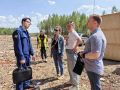 В районе деревни Коврово проводится проверка по факту использования земель сельскохозяйственного назначения