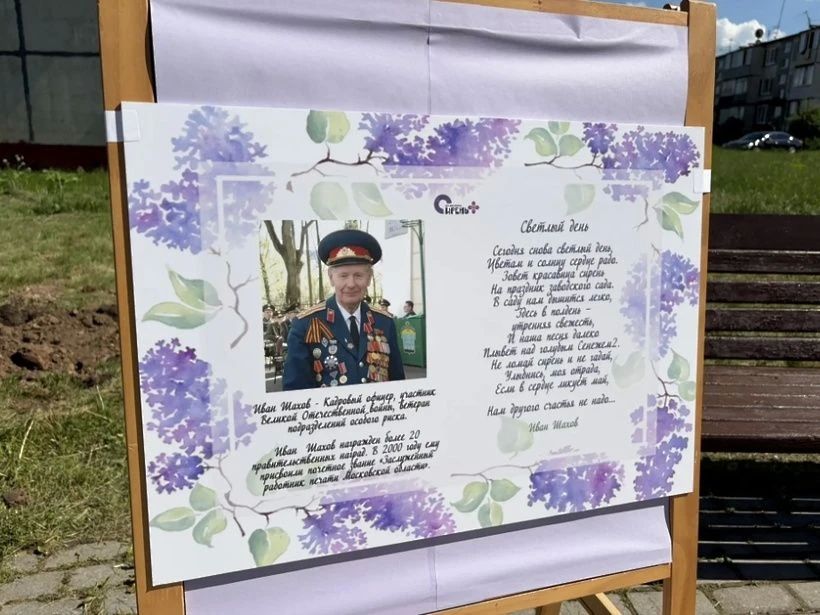 В д. Ложки появилась новая сиреневая аллея В д. Ложки появилась новая сиреневая аллея