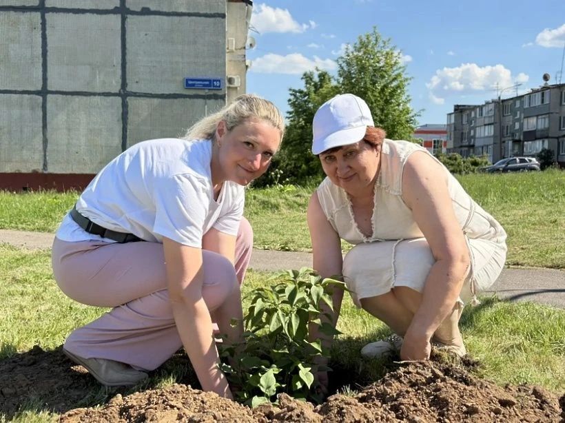 В д. Ложки появилась новая сиреневая аллея В д. Ложки появилась новая сиреневая аллея