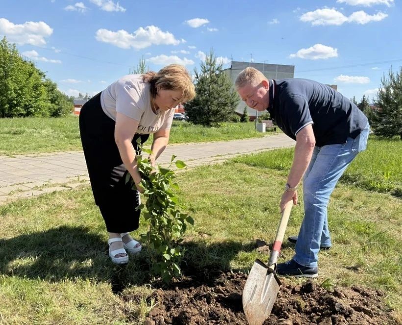 В д. Ложки появилась новая сиреневая аллея В д. Ложки появилась новая сиреневая аллея
