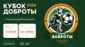 IX детский футбольный турнир «Кубок доброты» состоится 18 июня в спортивном центре AIR ARENA в Красногорске
