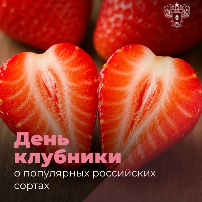 Какие российские сорта клубники можно встретить в продаже?