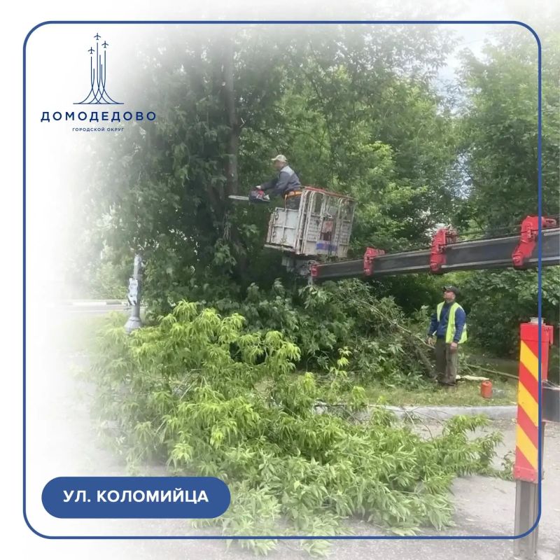 Дневник благоустройства: 16 июня Дневник благоустройства: 16 июня
