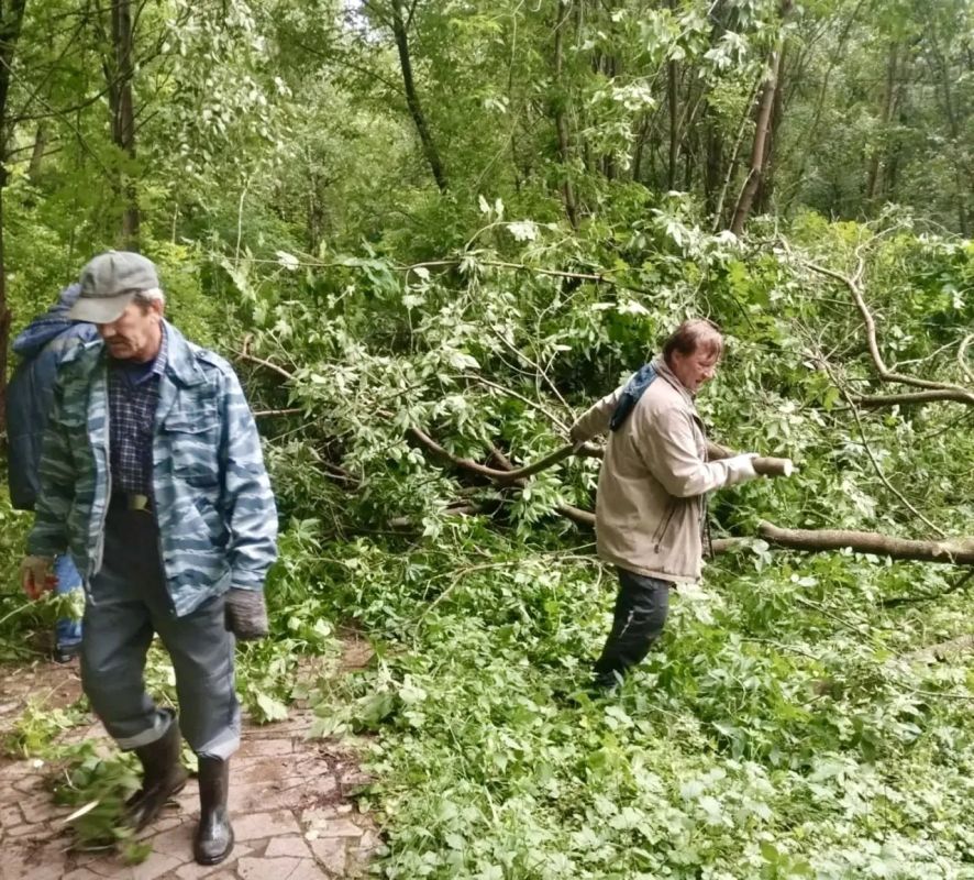 Последствия непогоды: в Долгопрудном проводят откачку воды и убрали более 20 поваленных деревьев Последствия непогоды: в Долгопрудном проводят откачку воды и убрали более 20 поваленных деревьев