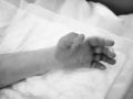 В Подмосковье врачи спасли девочку после укуса гадюки