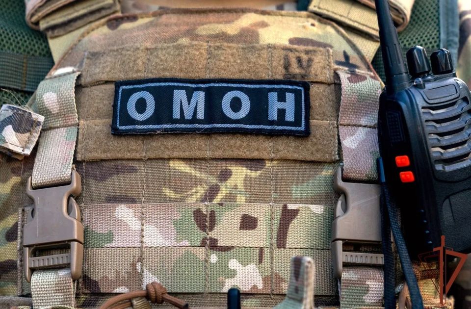 В Подмосковье при содействии Росгвардии задержан подозреваемый в мошенничестве в отношении пенсионерки из Калмыкии