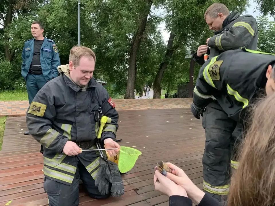 Попавшего в западню утенка спасли в Красногорске