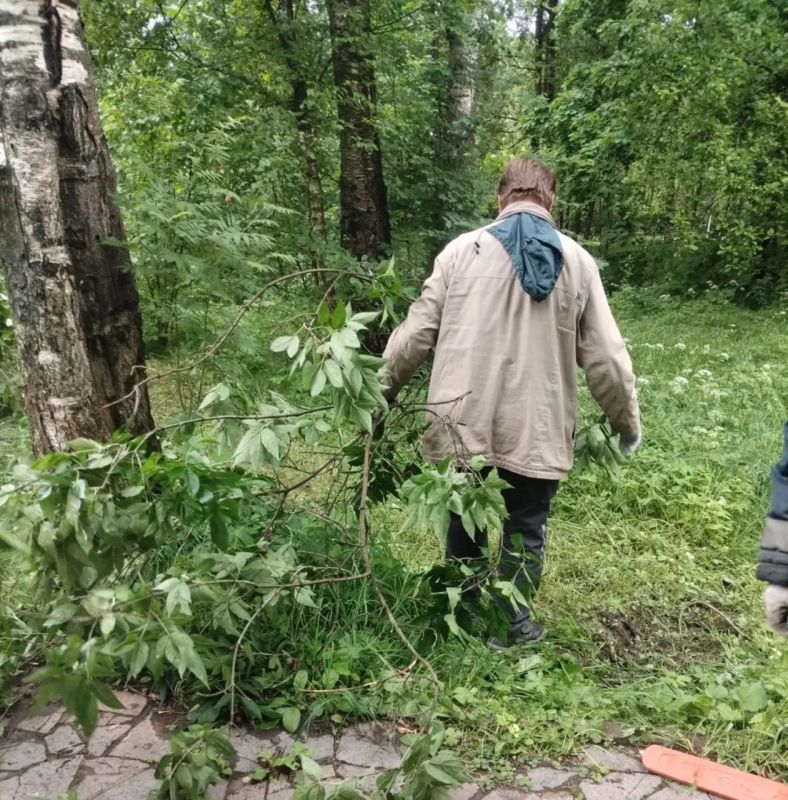 Последствия непогоды: в Долгопрудном проводят откачку воды и убрали более 20 поваленных деревьев Последствия непогоды: в Долгопрудном проводят откачку воды и убрали более 20 поваленных деревьев