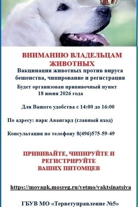 Уже в этот четверг, 18 июня, в парке «Авангард» будет работать мобильный ветеринарный пункт