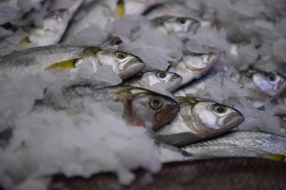Индекс цен на рыбу и морепродукты в Ростовской области