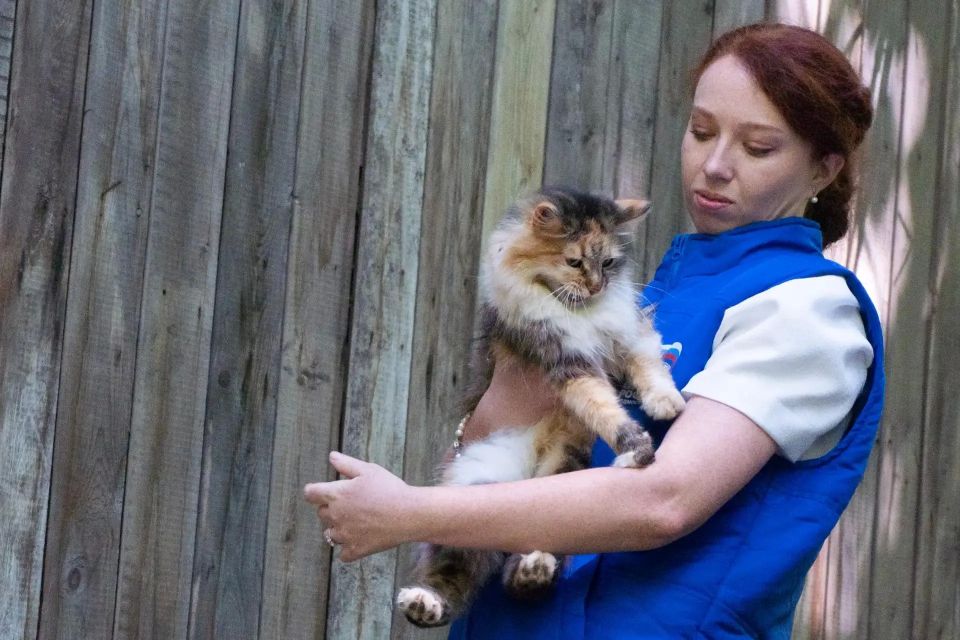 Волонтеры из Люберец передали домашнему приюту в Малаховке корма для животных