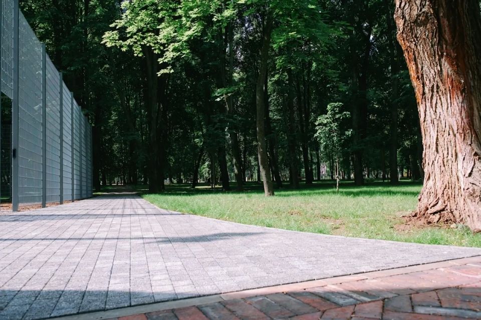 Ещё немного — и Центральный парк предстанет перед нами в новом облике! Ещё немного — и Центральный парк предстанет перед нами в новом облике!