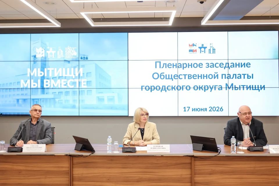 Вопросы кибербезопасности обсудили на заседании Общественной палаты г.о. Мытищи