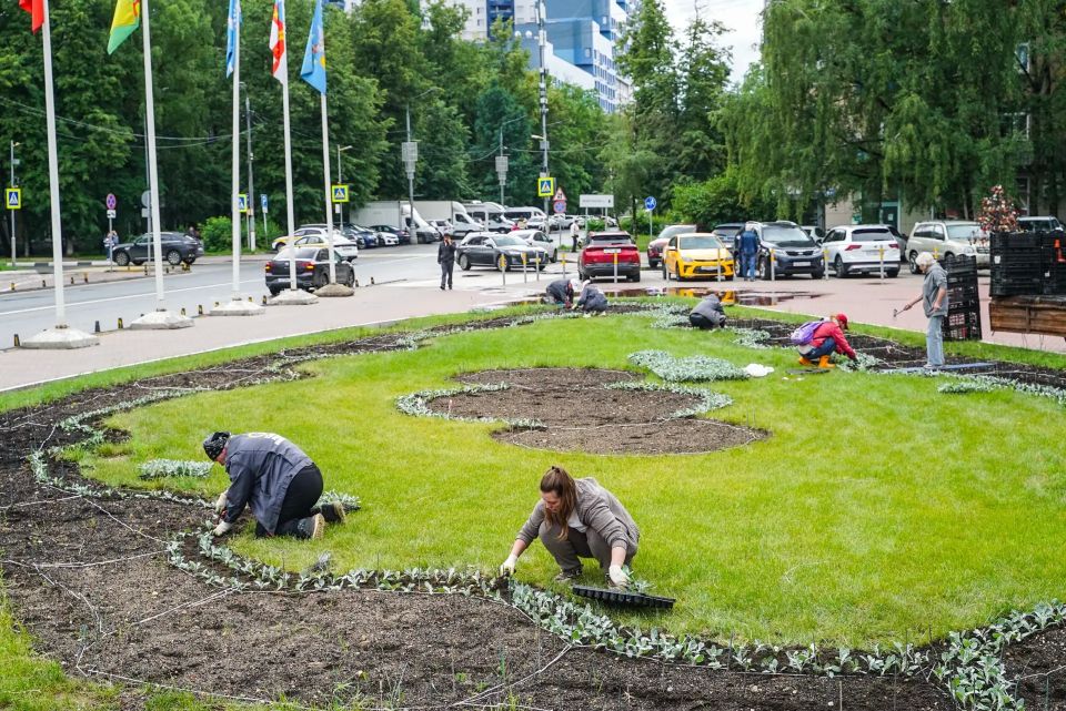 Краски лета в Химках: как украсят центральную клумбу города Краски лета в Химках: как украсят центральную клумбу города