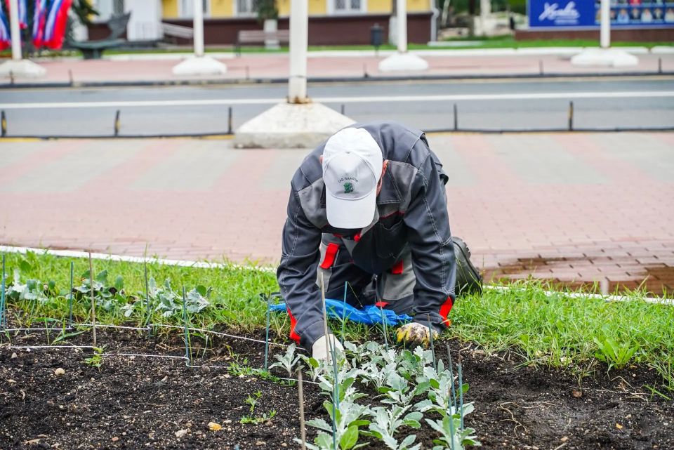 Краски лета в Химках: как украсят центральную клумбу города Краски лета в Химках: как украсят центральную клумбу города