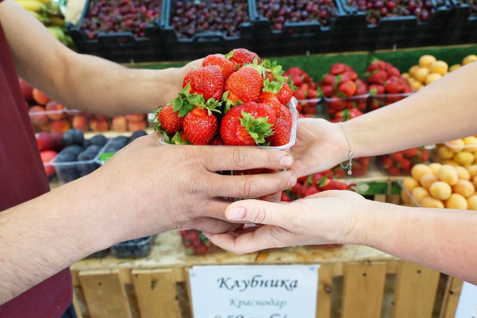 Юлия Купецкая: Лето – период сезонной торговли Юлия Купецкая: Лето – период сезонной торговли