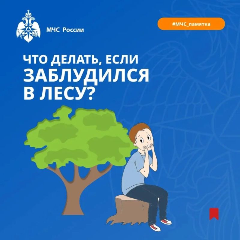 Заблудился в лесу? Главное, не паниковать