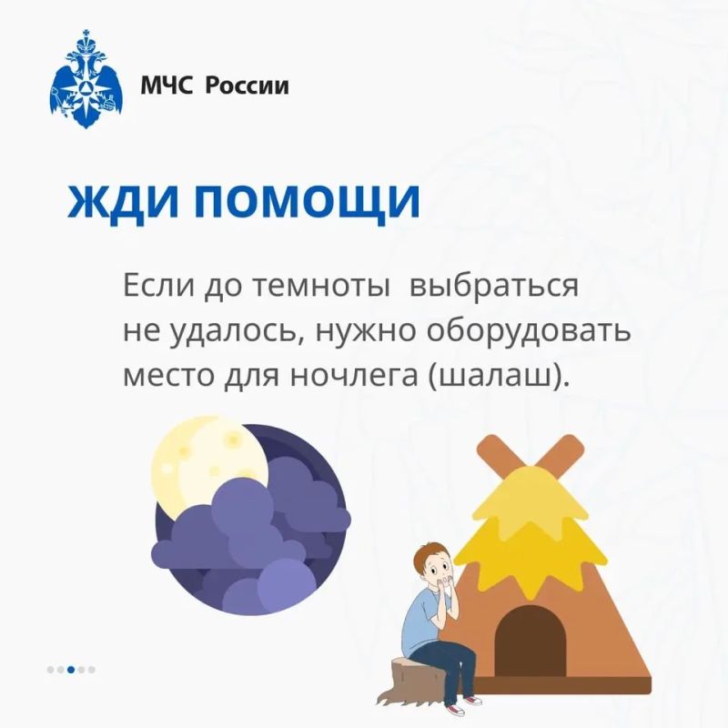 Заблудился в лесу? Главное, не паниковать Заблудился в лесу? Главное, не паниковать