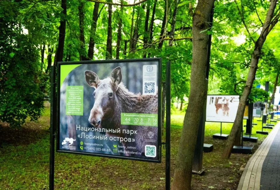 В мытищинском парке открылась новая фотовыставка В мытищинском парке открылась новая фотовыставка