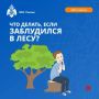 Заблудился в лесу? Главное, не паниковать