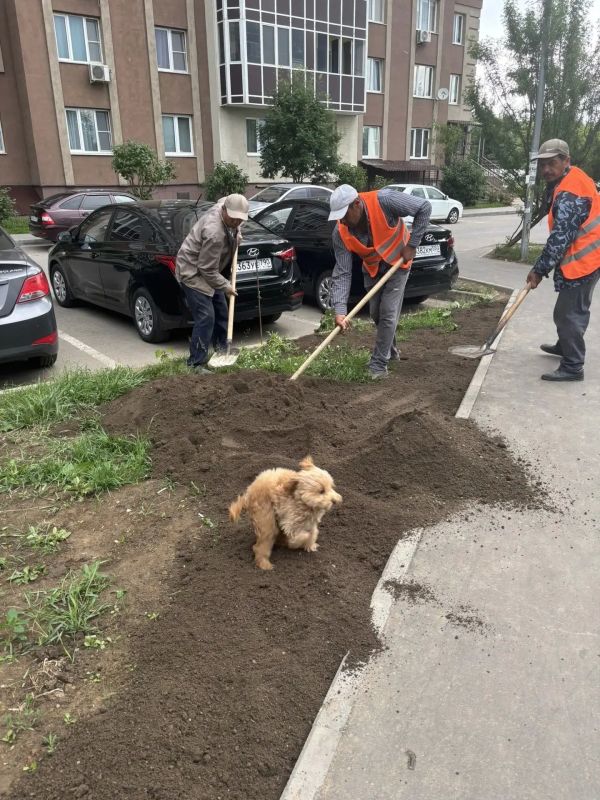 Знакомьтесь – это Ная!. Очень требовательный и строгий специалист Знакомьтесь – это Ная!. Очень требовательный и строгий специалист