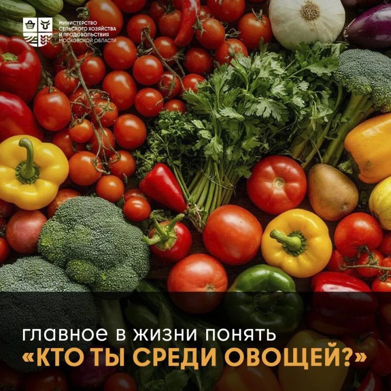 Звезды могут ошибаться, а семена – нет! Заменяем гороскоп на огородный тест