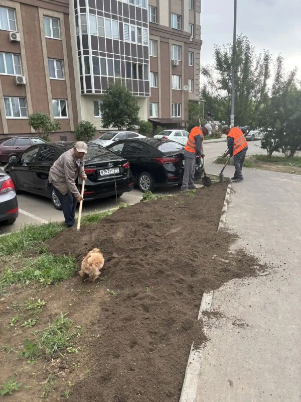 Знакомьтесь – это Ная!. Очень требовательный и строгий специалист Знакомьтесь – это Ная!. Очень требовательный и строгий специалист