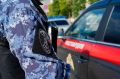 От бытового конфликта до угрозы в школе: как сотрудники Росгвардии задерживают злоумышленников