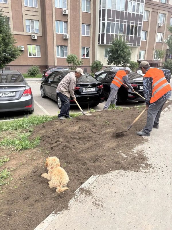 Знакомьтесь – это Ная!. Очень требовательный и строгий специалист Знакомьтесь – это Ная!. Очень требовательный и строгий специалист