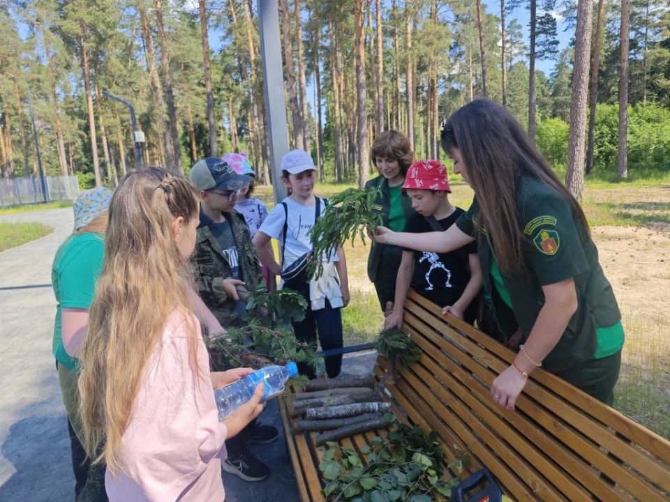 В парке «Стрелки» продолжаются экскурсии в рамках проекта «Лесные лаборатории», который реализуется по поручению губернатора Московской области для развития школьных лесничеств В парке «Стрелки» продолжаются экскурсии в рамках проекта «Лесные лаборатории», который реализуется по поручению губернатора Московской области для развития школьных лесничеств