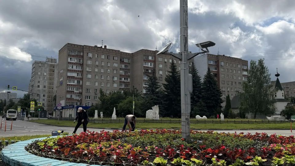 Более 50 тысяч однолетних цветов украсят этим летом общественные пространства Дзержинского Более 50 тысяч однолетних цветов украсят этим летом общественные пространства Дзержинского