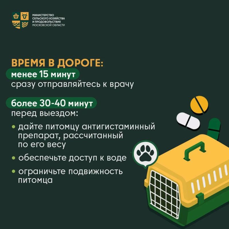Как защитить питомца от змей: советы, которые спасут! Как защитить питомца от змей: советы, которые спасут!
