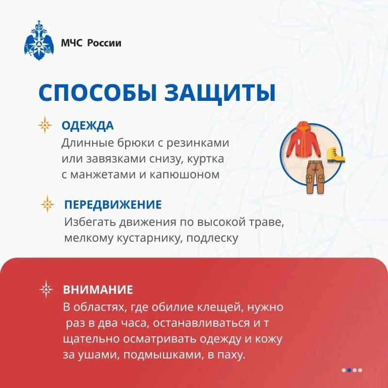Осторожно: клещи!. Врачи напоминают, что в случае укуса клеща нельзя пытаться удалить насекомое самостоятельно