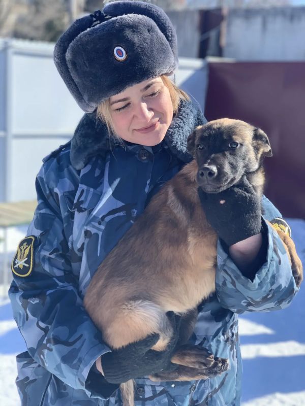 Сегодня с профессиональным праздником мы поздравляем специалистов-кинологов и их четвероногих, хвостатых и верных служебных напарников кинологической службы уголовно-исполнительной системы Российской Федерации Сегодня с профессиональным праздником мы поздравляем специалистов-кинологов и их четвероногих, хвостатых и верных служебных напарников кинологической службы уголовно-исполнительной системы Российской Федерации