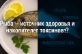 Рыба: спасение для здоровья или скрытая угроза?
