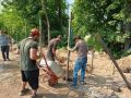 Модернизация контейнерных площадок стартовала в поселках Люберец