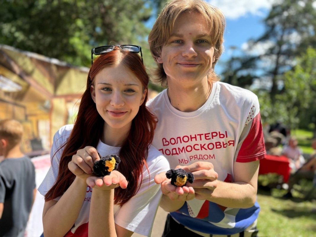 Волонтеры Подмосковья Городского округа Пушкинский