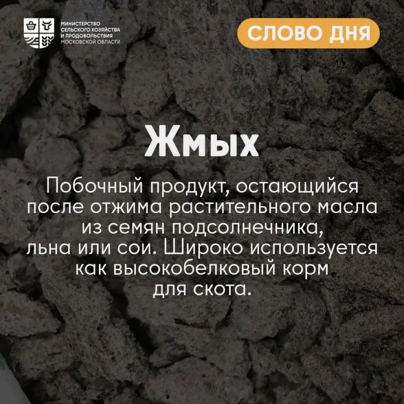 Доброе утро, работаем!. Пока у всех день только начинается, у фермеров работа уже кипит Доброе утро, работаем!. Пока у всех день только начинается, у фермеров работа уже кипит