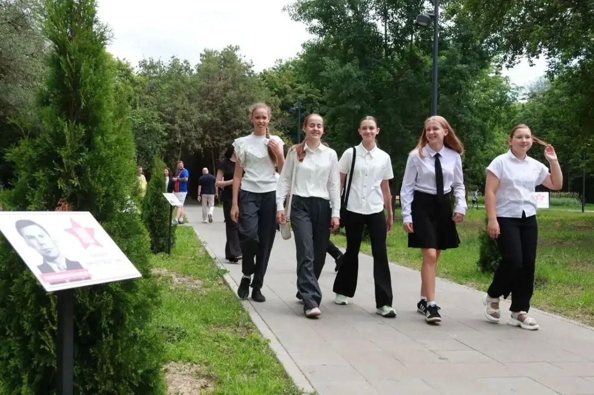 В День памяти и скорби в Серпухове открыли туевую аллею в честь Героев Советского Союза В День памяти и скорби в Серпухове открыли туевую аллею в честь Героев Советского Союза