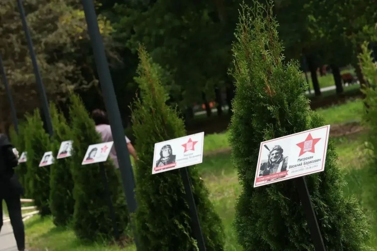 В День памяти и скорби в Серпухове открыли туевую аллею в честь Героев Советского Союза В День памяти и скорби в Серпухове открыли туевую аллею в честь Героев Советского Союза