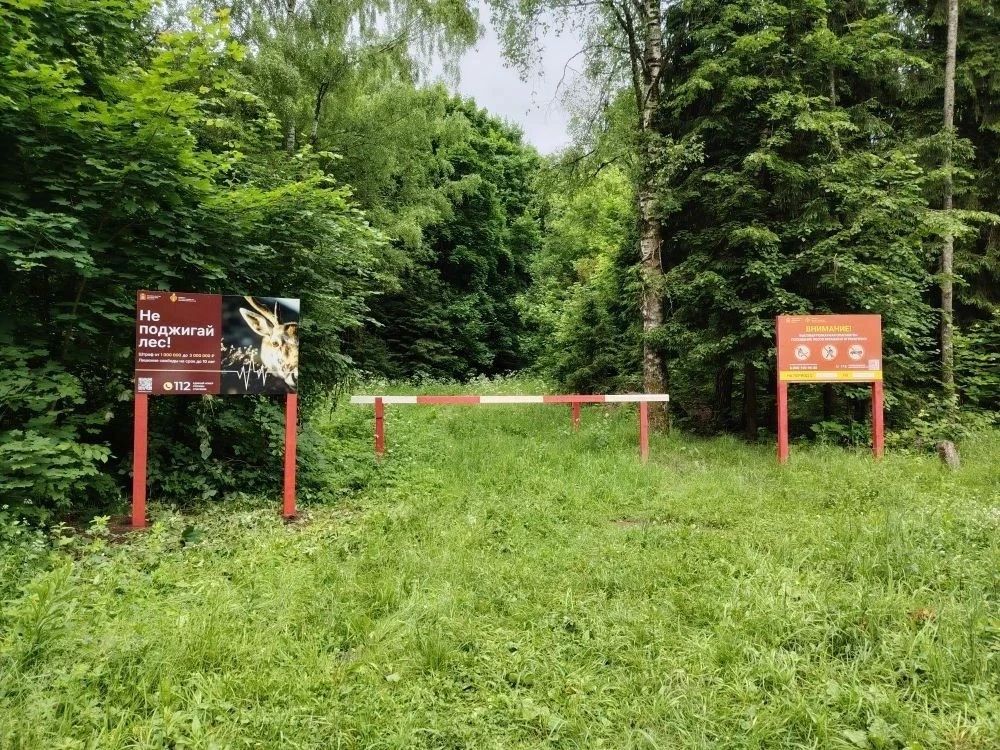 В Красногорске активно ведутся работы по противопожарному обустройству лесов В Красногорске активно ведутся работы по противопожарному обустройству лесов