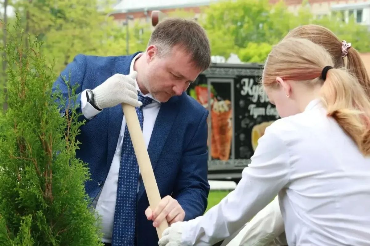 В День памяти и скорби в Серпухове открыли туевую аллею в честь Героев Советского Союза В День памяти и скорби в Серпухове открыли туевую аллею в честь Героев Советского Союза
