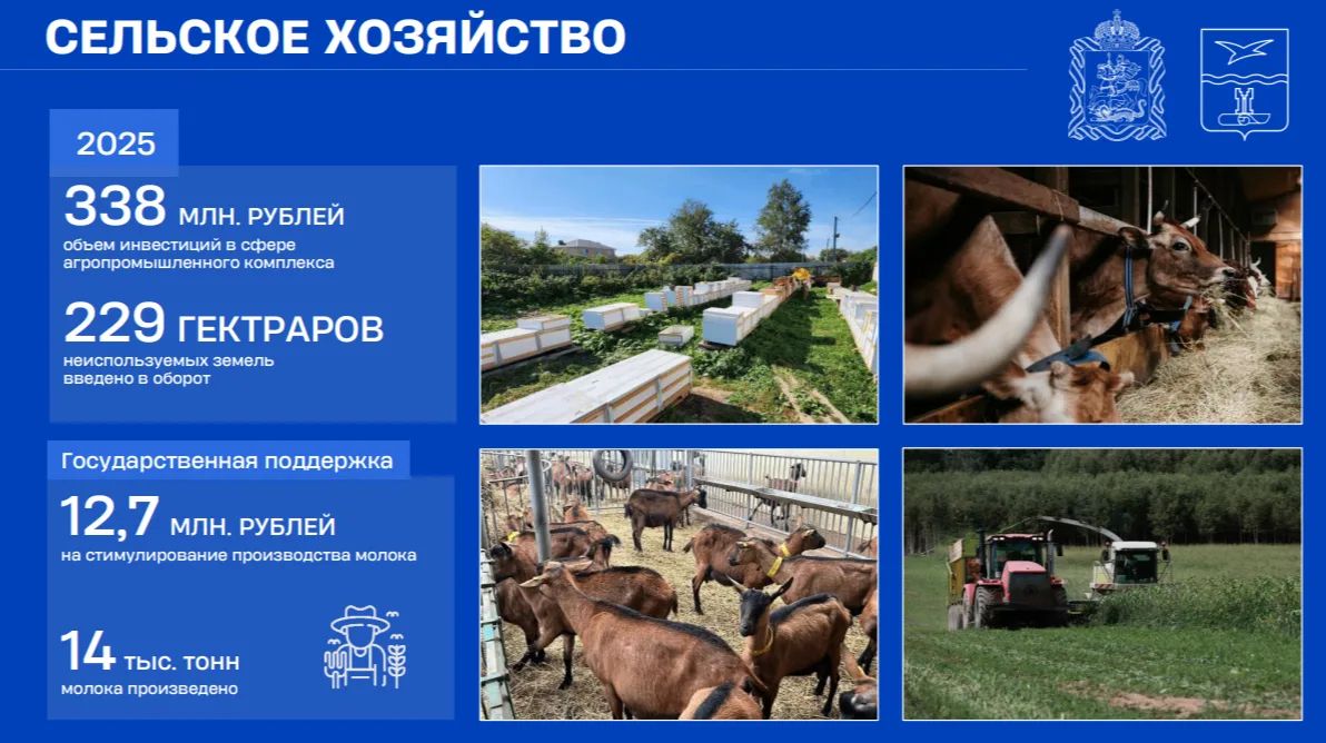 Михаил Собакин: Экономические достижения муниципального округа Чехов Михаил Собакин: Экономические достижения муниципального округа Чехов