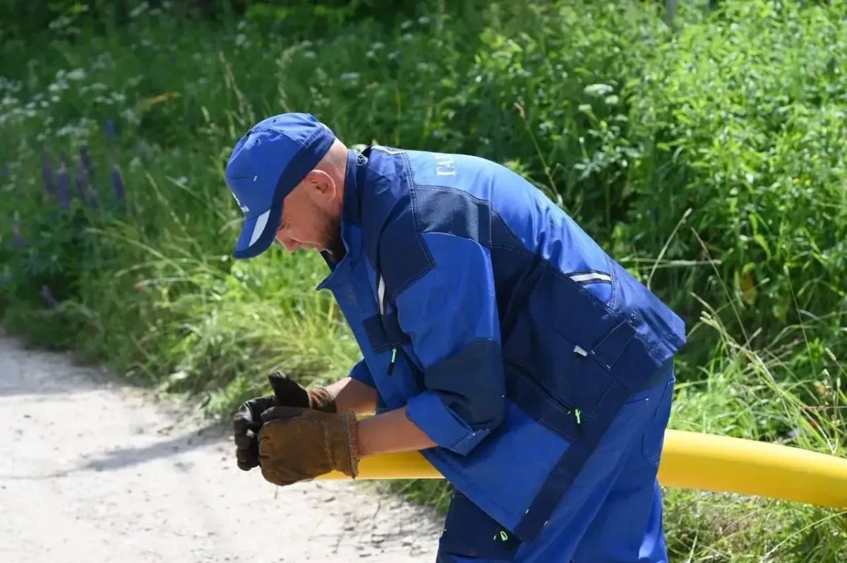 В рамках губернаторской программы проводится газификация деревни Агарино В рамках губернаторской программы проводится газификация деревни Агарино