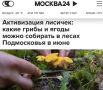 «Активизация лисичек. Какие грибы и ягоды можно собирать в лесах Подмосковья в июне»: ИИ так и не научился отличать бледную поганку от съедобных грибов