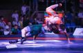 Подмосковные спортсмены завоевали 5 медалей на первенстве России по греко-римской борьбе