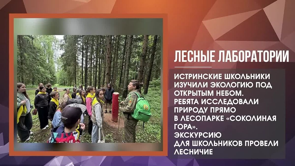 Татьяна Витушева: #дайджестдня. «Массовка» меняется к лучшему!