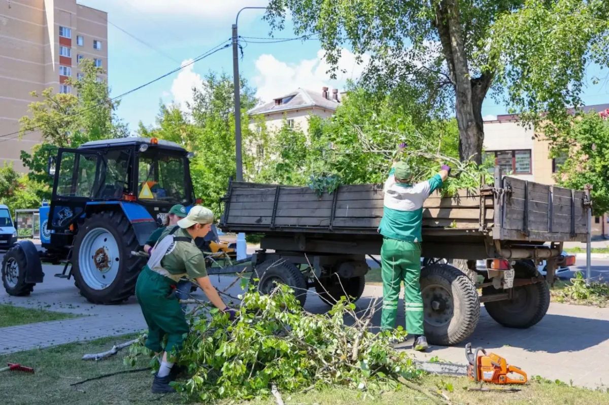 Объезд территорий городского округа Объезд территорий городского округа