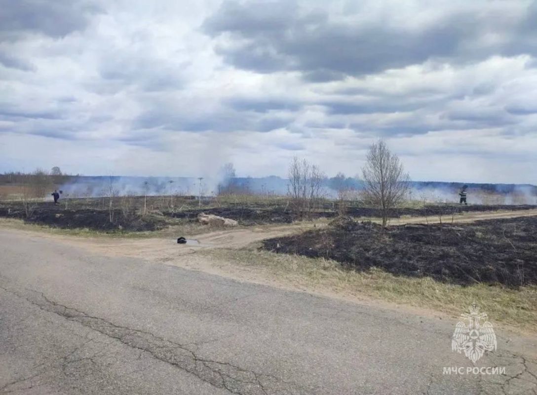 Сводка о палах травы в Московской области