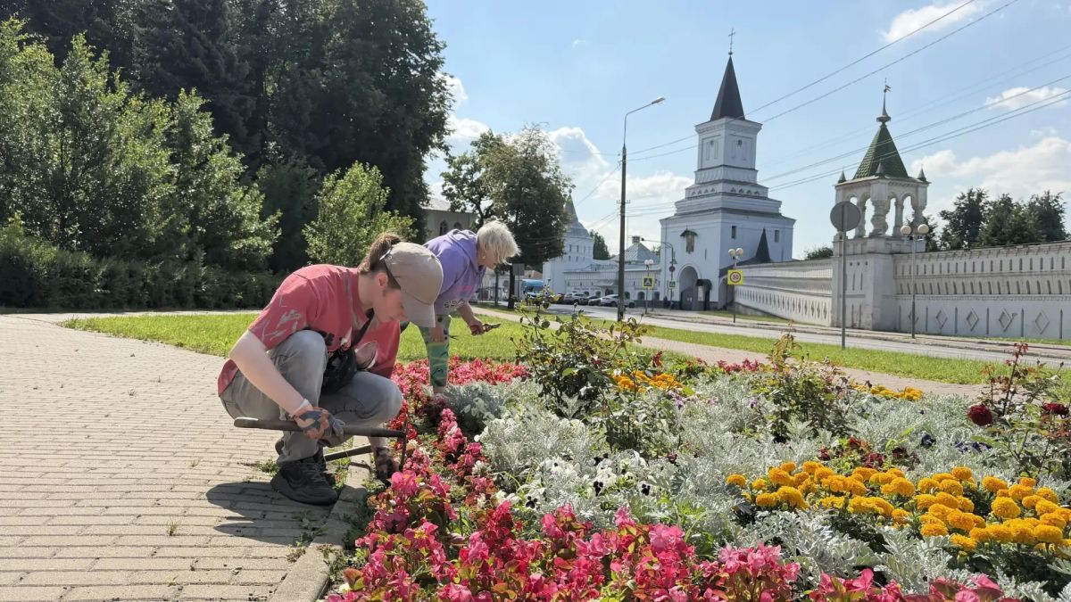 Более 50 тысяч однолетних цветов украсили городские клумбы в Дзержинском городского округа Люберцы